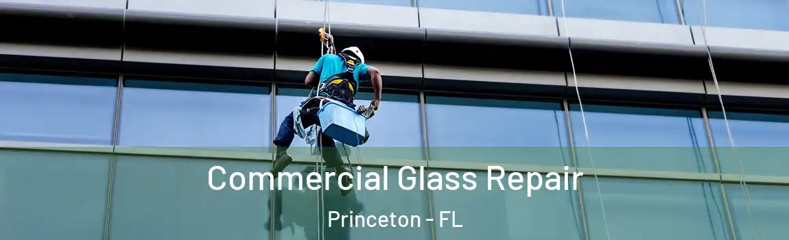  Commercial Glass Repair Princeton - FL