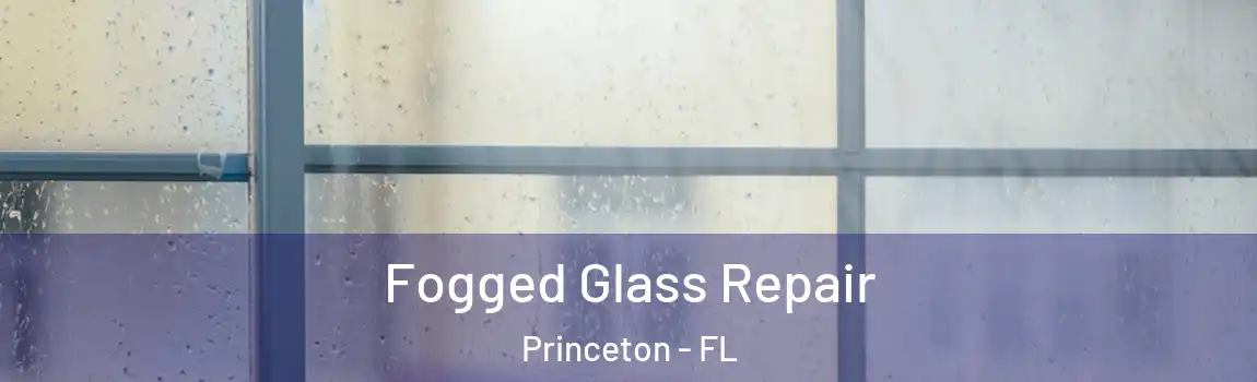 Fogged Glass Repair Princeton - FL