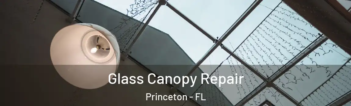  Glass Canopy Repair Princeton - FL