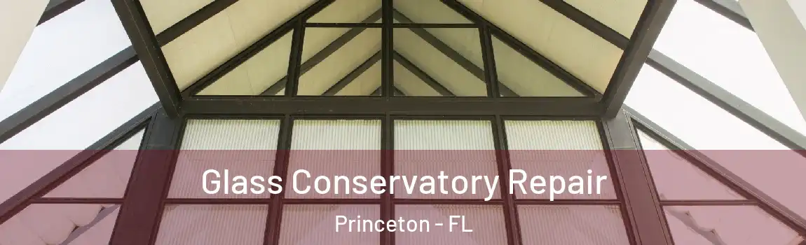  Glass Conservatory Repair Princeton - FL