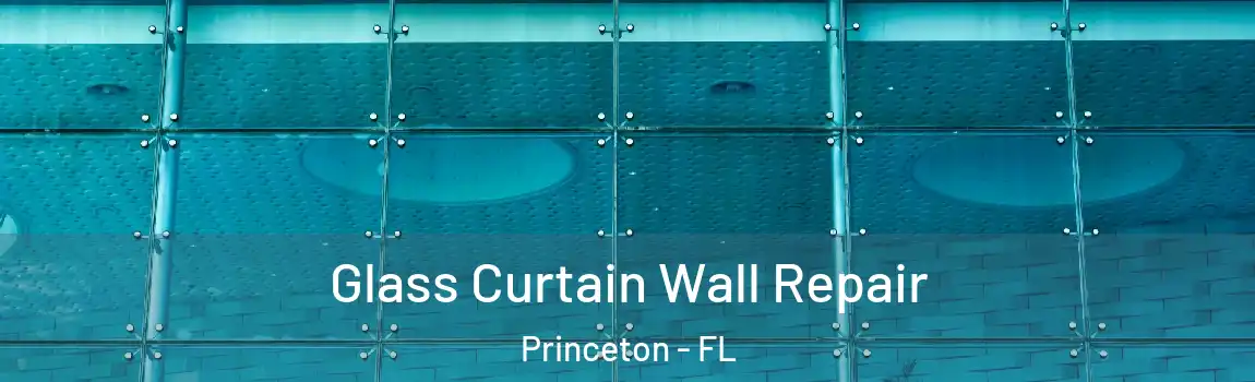  Glass Curtain Wall Repair Princeton - FL