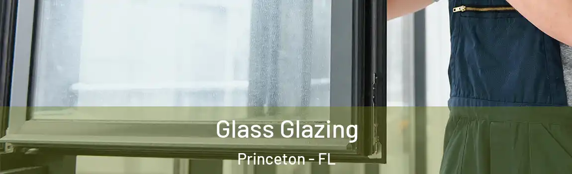 Glass Glazing Princeton - FL
