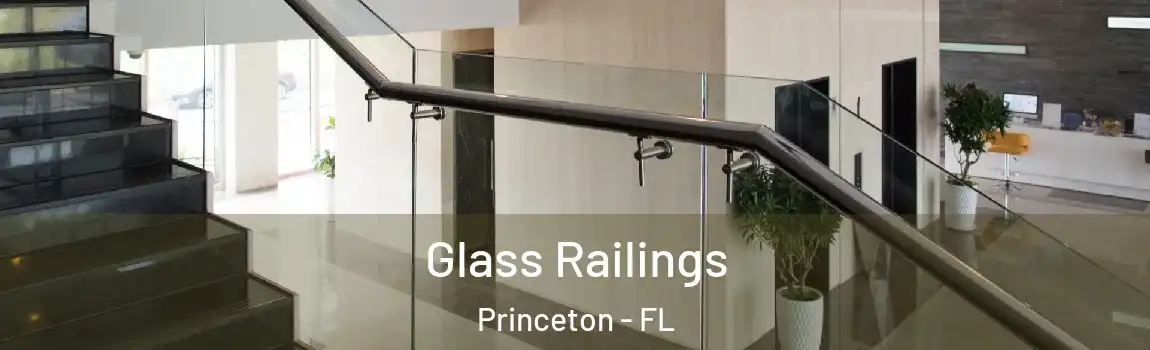  Glass Railings Princeton - FL