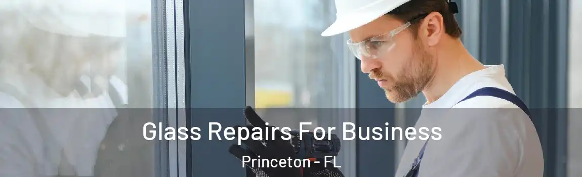 Glass Repairs For Business Princeton - FL