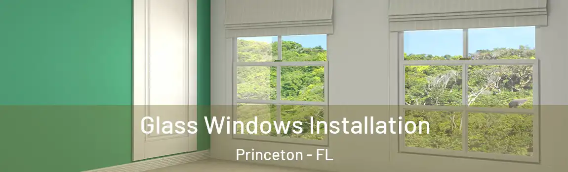  Glass Windows Installation Princeton - FL