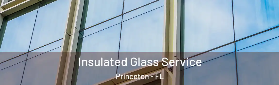 Insulated Glass Service Princeton - FL