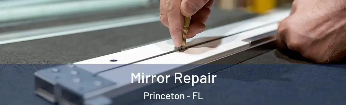  Mirror Repair Princeton - FL