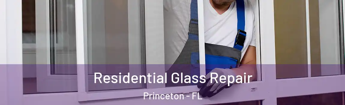  Residential Glass Repair Princeton - FL