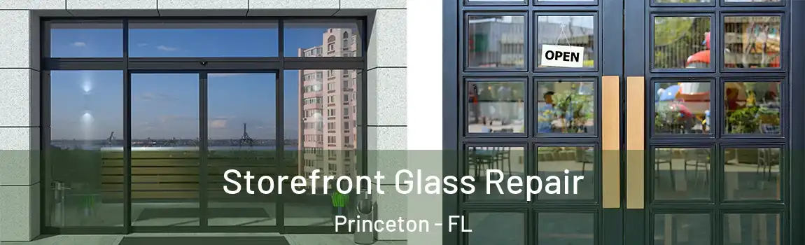  Storefront Glass Repair Princeton - FL
