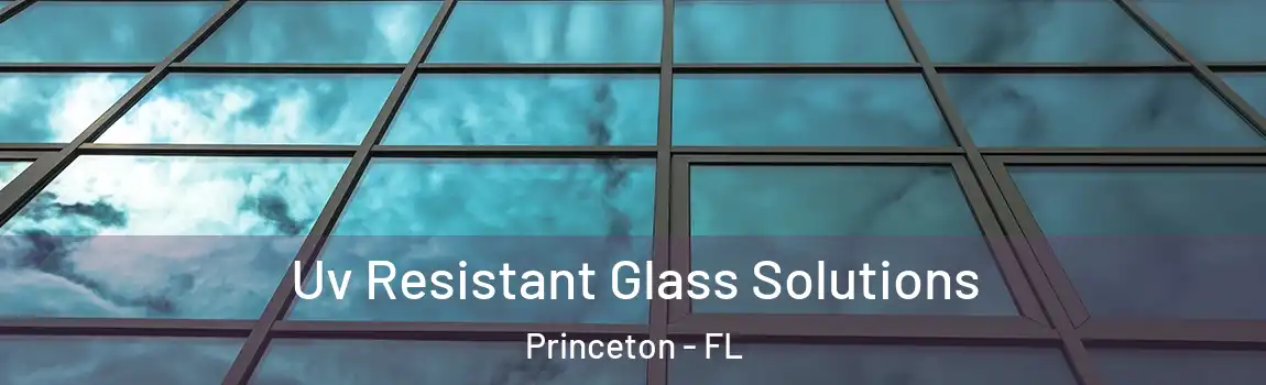  Uv Resistant Glass Solutions Princeton - FL