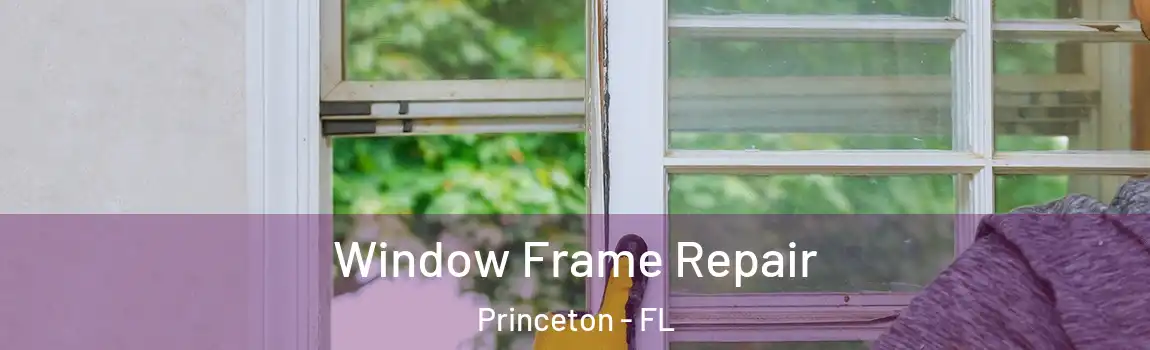  Window Frame Repair Princeton - FL
