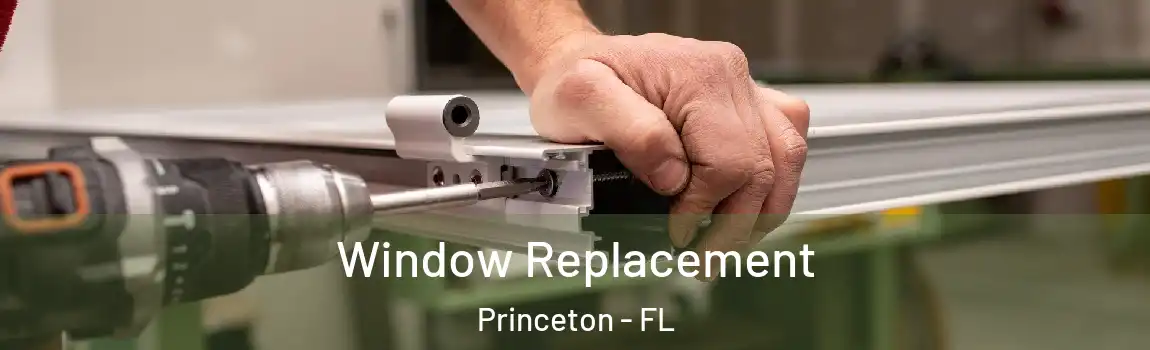  Window Replacement Princeton - FL